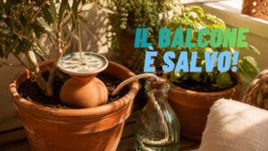 Piante con metodi di irrigazione alternativi