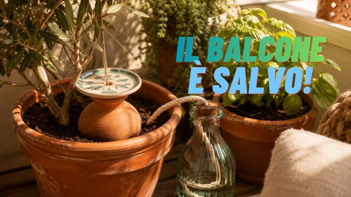 Piante con metodi di irrigazione alternativi