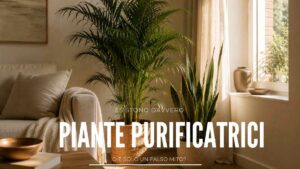 Quella vecchia leggenda sulle piante purificatrici e la verità scientifica su quante te ne servirebbero davvero in salotto