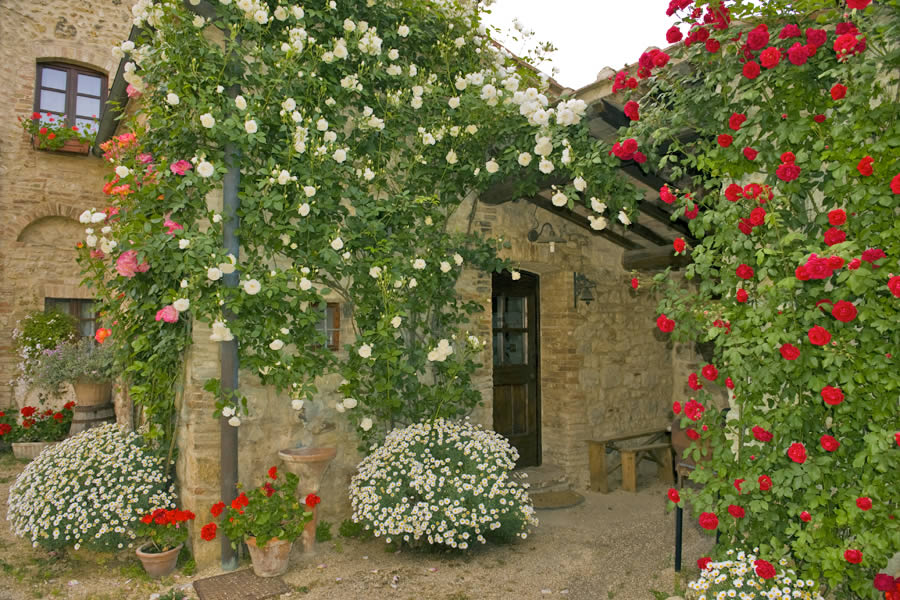 Giardino rustico: come progettare ed arredare un’area verde dal sapore tradizionale