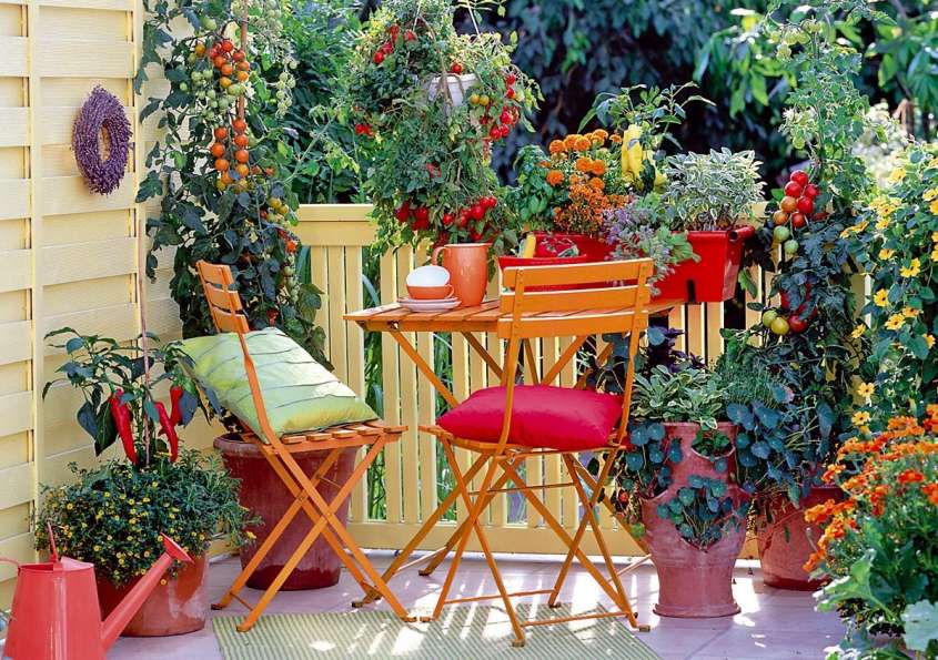Come arredare un terrazzo con fiori e piante: uno spazio verde tutto per voi