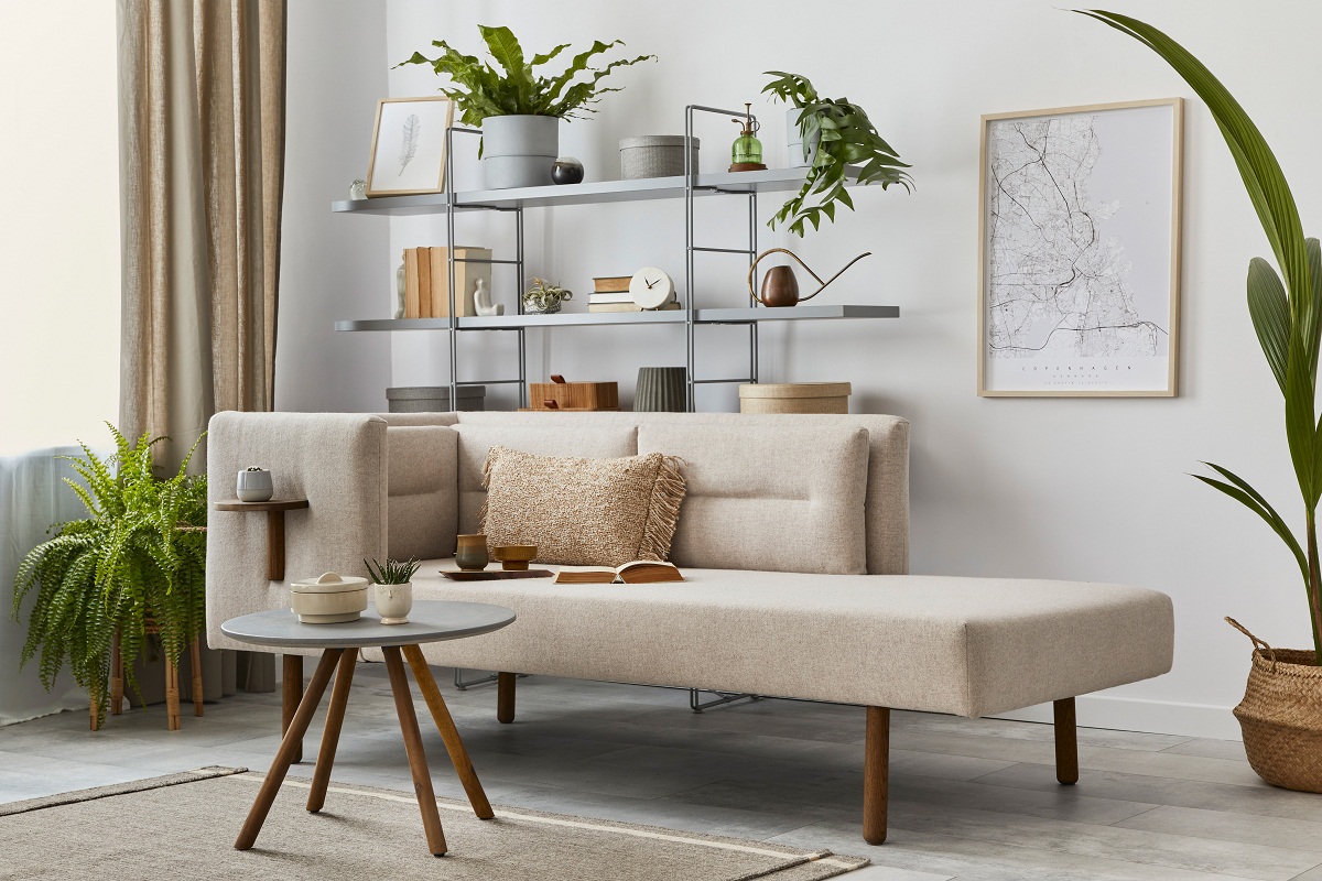 Cozy,Interior,With,Stylish,Sofa,,Design,Coffee,Table,,Bookcase,,Plants,