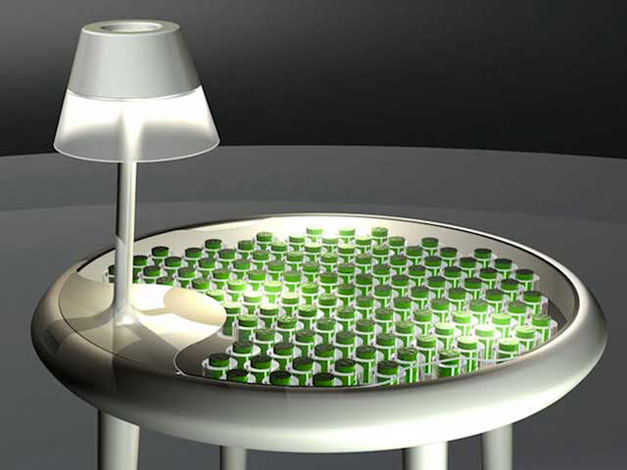 Moss Table: il tavolino che produce elettricità attraverso il muschio