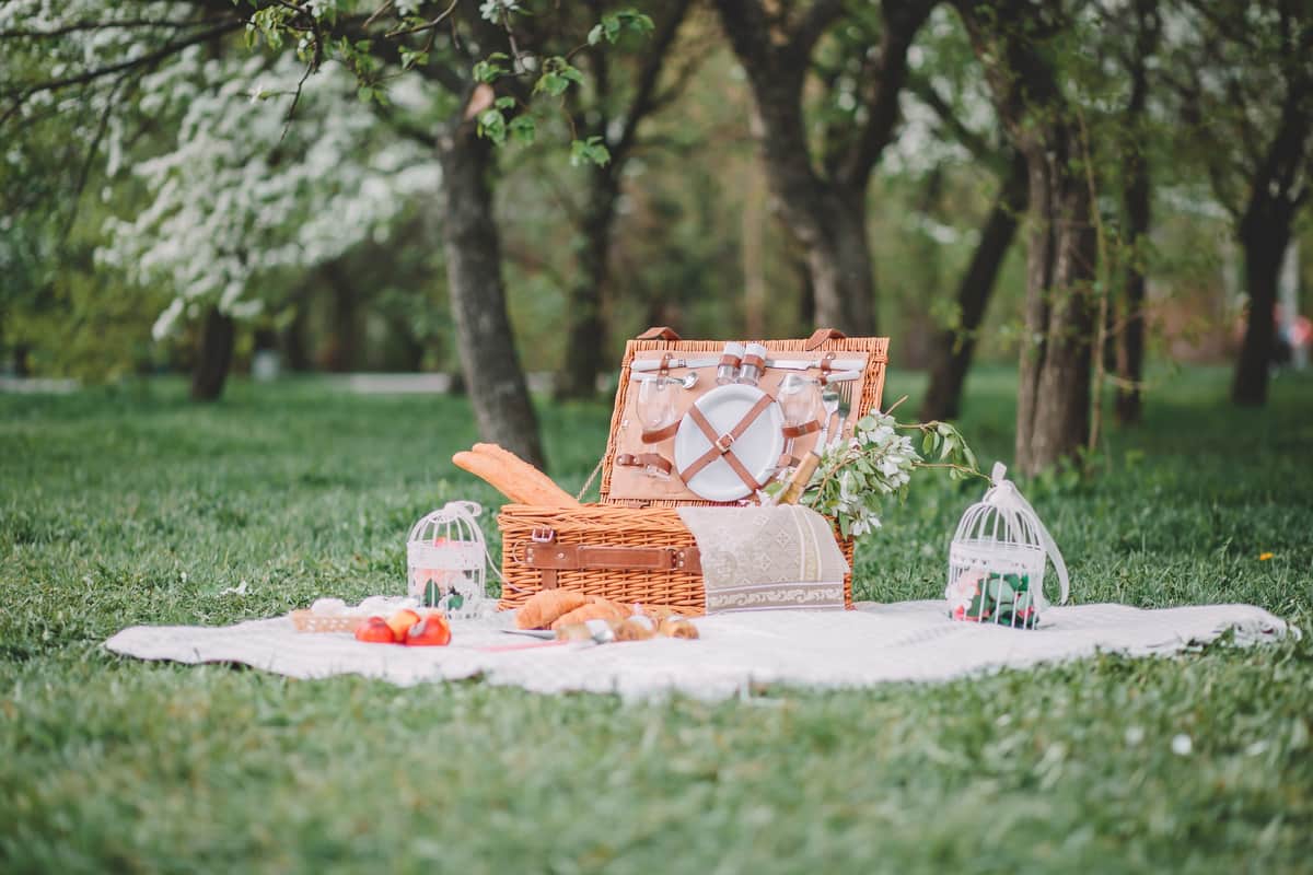 accessori da picnic 