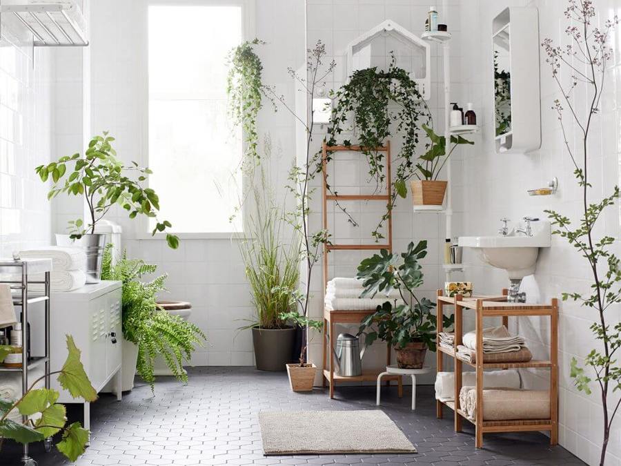 arredare il bagno con le piante