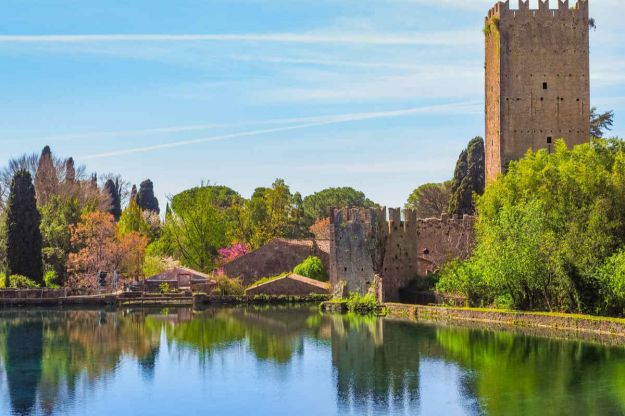 giardino con piante, laghetto e un castello