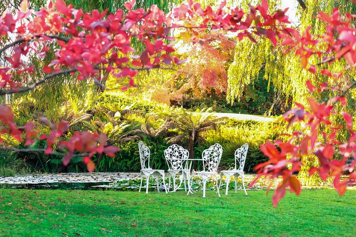 giardino elegante economico