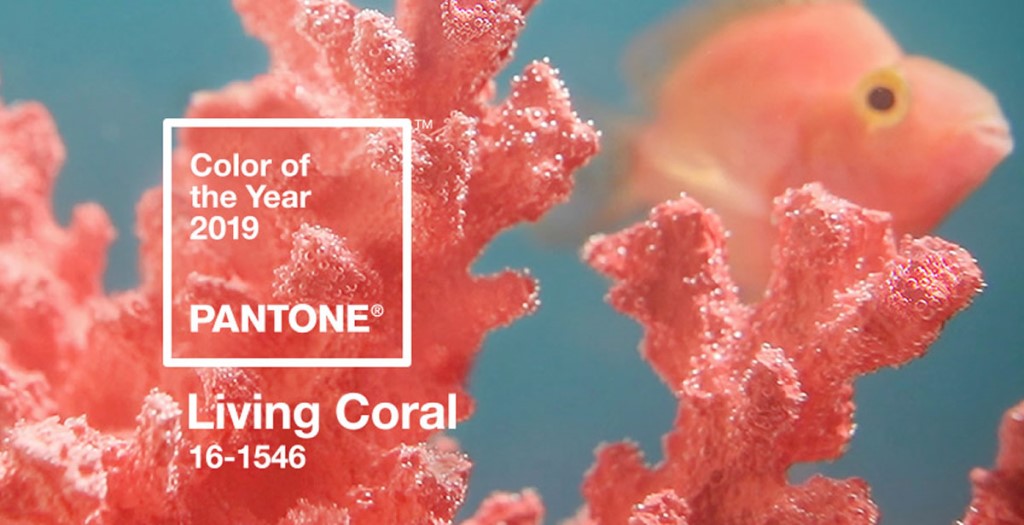 living coral pantone 2019