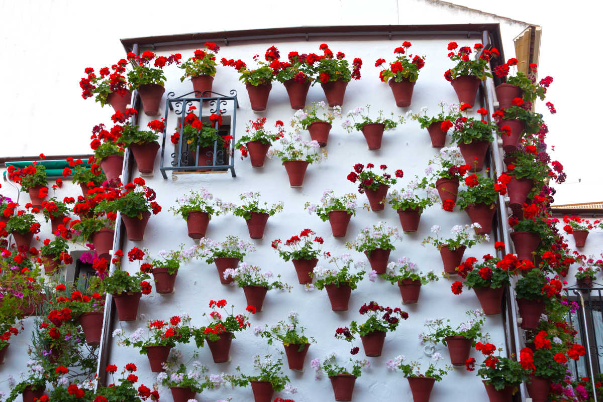 muri esterni di una casa decorati con vasi di fiori di colori rosso e bianco